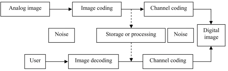 Figure 1. The digitization process of the simulation image 