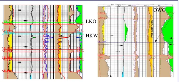 Gambar IV.5 Log sumur yang memperlihatkan contoh penentuan batas  hidroharbon: OWC, LKO, dan HKW (Johansen, 2006)