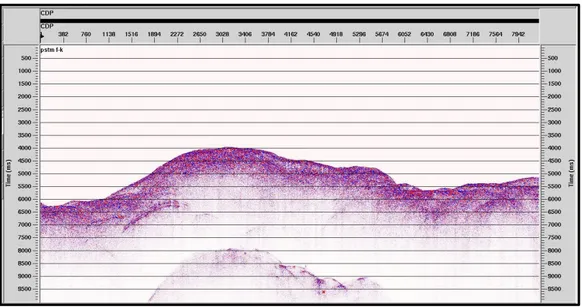 Gambar 6. Penampang seismik hasil filter f-k (Elisa, dkk., 2014). 