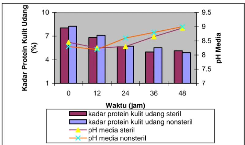 Gambar 11.  pH media dan kadar protein kulit udang pada   penambahan substrat langsung 