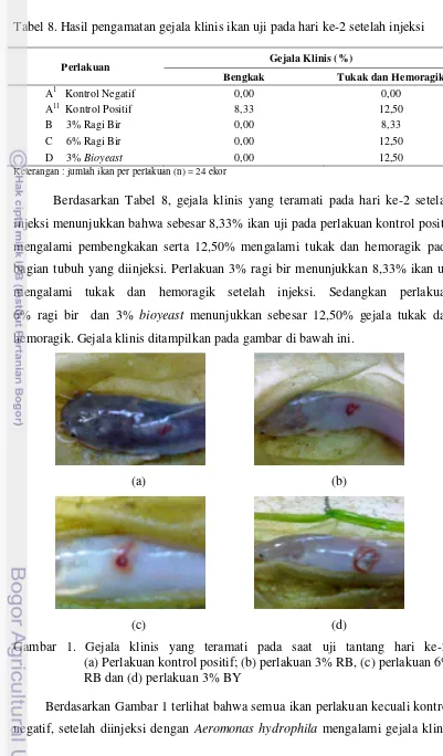 Tabel 8. Hasil pengamatan gejala klinis ikan uji pada hari ke-2 setelah injeksi  