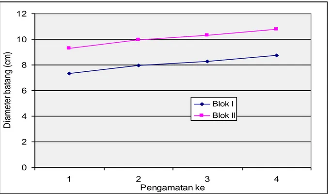 Gambar 2. Grafik diameter batang tanaman kayu putih pada perlakuan P1 (Blok I)   dan P2 (Blok II) 