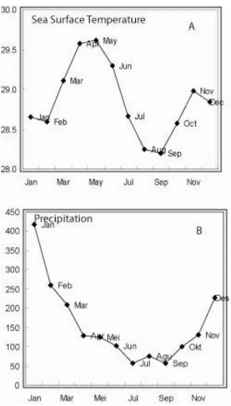 Figure 2. Monthly mean of sea surface temperature (A) and precipitation (B). SST data obtained from IGOSS from averaged SST of 5-6S, 106-107E coordinate