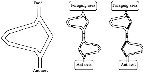 Figure 4. Principle of ant path search 