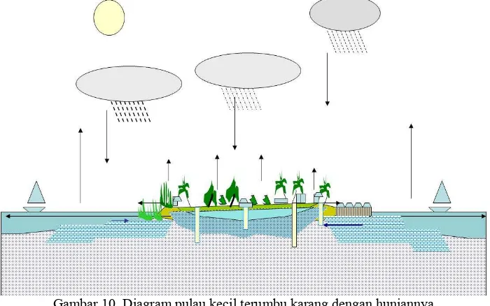 Gambar 10. Diagram pulau kecil terumbu karang dengan huniannya. 