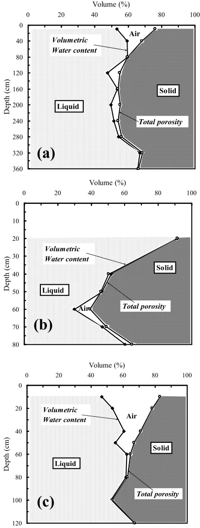 Figure 1.  Profiles of three-phase distribution at (a) northern hillslope, (b) riparian zone and (c) southern hillslope  