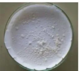 Gambar 3 Mikrokapsul ibuprofen tersalut     paduan  lilin lebah-PLA. 