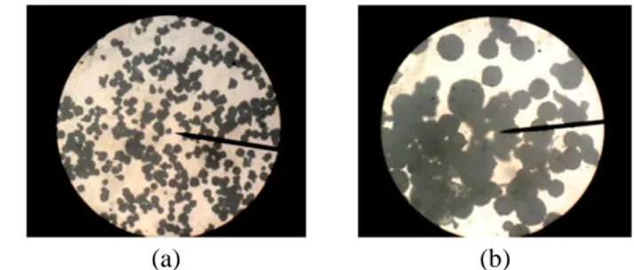 Gambar 5  Foto  mikroskop  mikrokapsul  formula  DG 3    tanpa  penambahan  ibuprofen  (a)  dan  dengan penambahan ibuprofen (b) pada perbesaran 40x
