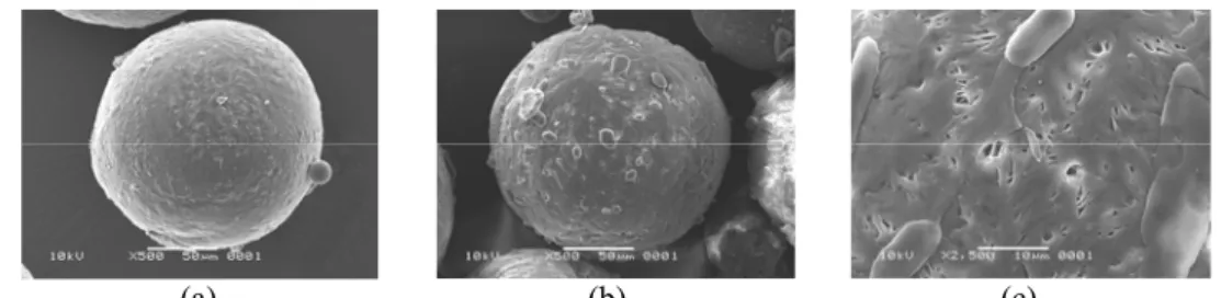 Gambar 9c menunjukkan permukaan  mikrokapsul dengan lubang-lubang kecil dan  tonjolan-tonjolan halus tak beraturan yang  melekat pada permukaannya
