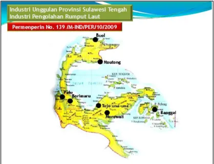 Gambar 1.2.   Peta  Panduan  Pengembangan  Industri  Unggulan  Daerah  Provinsi  Sulawesi  Tengah  Komoditi  Rumput  Laut  (Kementerian  Perindustrian, 2010) 