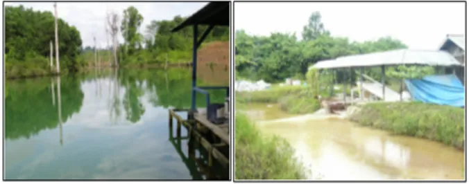 Gambar 3a. Settling Pond WMP 7, Lati. Gambar 3b. Outlet Pengolahan Aktif (CaOH).  