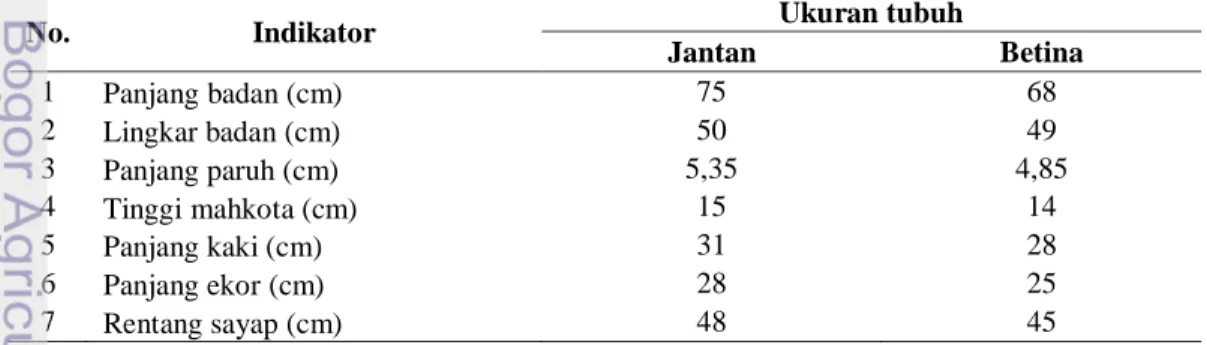 Tabel  5    Perbandingan  ukuran  tubuh  mambruk  victoria  jantan  dan  betina  di  MBOF 