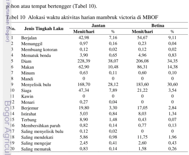 Tabel 10  Alokasi waktu aktivitas harian mambruk victoria di MBOF 