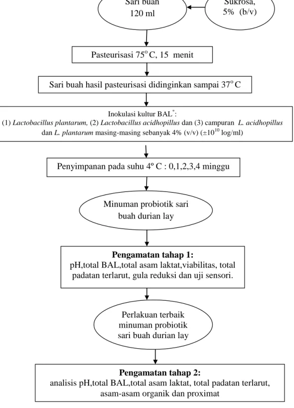 Gambar 7.Diagram alir proses fermentasi minuman probiotik dari sari buah durian lay  Sumber : Kurniati (2010) yang dimodifikasi  