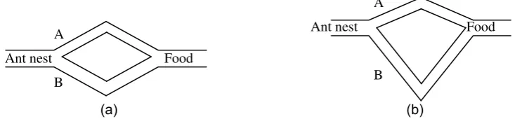 Figure 1. Schematic of ant colony algorithm 
