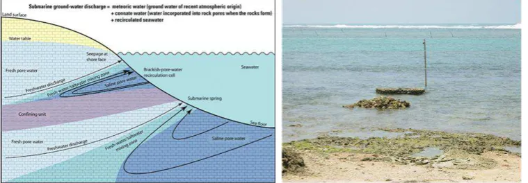 Figure 4. Schematic depiction of seepage at shore face associated with SGD , formed by limestone, no scale (Swarzenski et.all, 2004) (left) and its example at Binuangeun, Banten-Indonesia (right) 