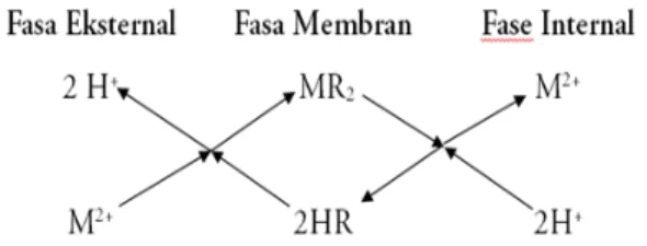 Gambar 1.  Mekanisme Transfer Massa melalui  Difusi dengan Reaksi Kimia dalam Fasa 