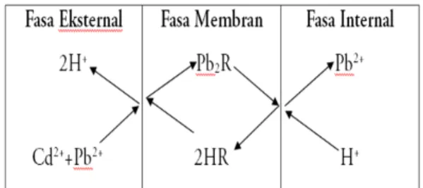 Gambar 3.  Membran Mekanisme Transfer  Massa melalui Difusi dengan Reaksi Kimia 