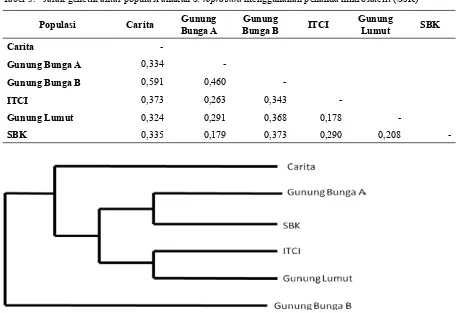 Tabel 5. Jarak genetik antar populasi anakan S. leprosula menggunakan penanda mikrosatelit (SSR) 
