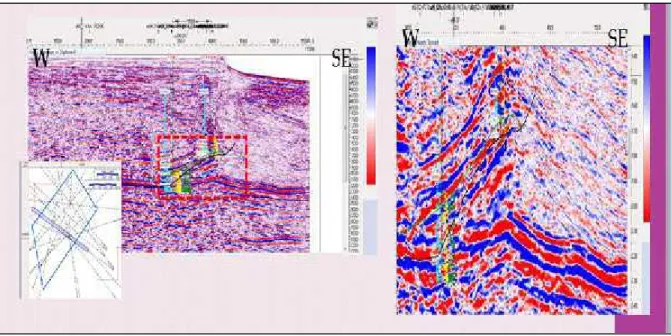 Gambar 7. Lintasan Seismik Area FTM