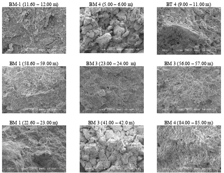 Gambar 3. Identifikasi mineral lempung hasil SEM menunjukkan kehadiran montmorilonit (A), illite (B) dan kaolinit (C)