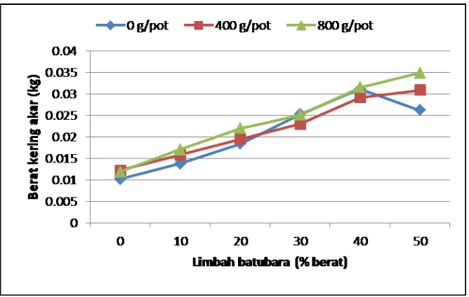 Gambar 3.Grafik pengaruh rasio limbah batubara dan dosis kompos terhadap rata-rata biomassa bagian akar tanaman bunga matahari