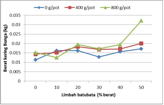 Gambar 5 menunjukkan grafik pengaruh penambahan limbah batubara dan kompos terhadap rata-rata biomassa (bk) bagian bunga tanaman bunga matahari.Grafik tersebut menunjukkan bahwa penambahan rata-rata biomassa (bk) tertinggi terdapat pada bagian bunga yang d