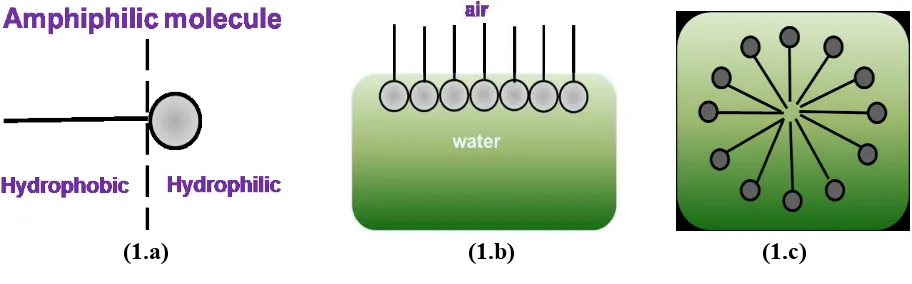 Gambar 1. Diagram ilustrasi amphiphilic molecule (a) dalam kondisi normal (b) dalam air dan (c) dalam larutan bersurfaktan (konsentrasi rendah)