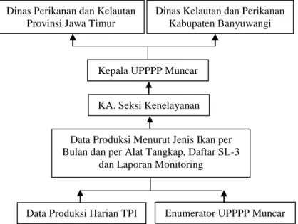 Gambar 9 Aliran data UPPPP Muncar 