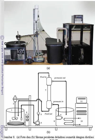 Gambar 8.  (a) Foto dan (b) Skema peralatan dehidrasi osmotik dengan distilasi 