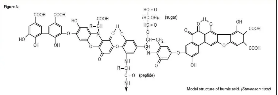 Gambar 3. Model struktur asam fulvat (Zadow., 2009) 
