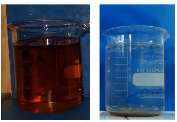 Gambar  9 : Warna air gambut sebelum dan setelah percobaan 