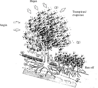 Gambar (FigureSumber ) 1. Pengaruh hidromekanik tumbuh-tumbuhan pada stabilitas lereng (The hydromechanics influence of vegetation on slope stability)  (Source) :   Greenway (1987) dalam Hardiyatmo (2006) 