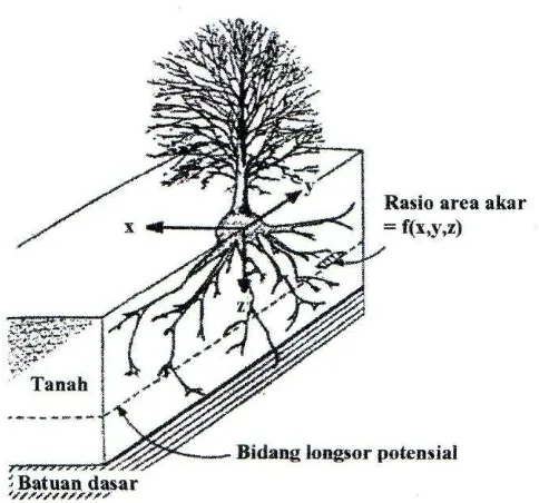 Gambar (FigureSumber () 2. Pertumbuhan akar di dalam lapisan tanah (Root growth in the soil) Source) : Greenway (1987) dalam Hardiyatmo (2006) 