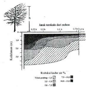 Tabel (Table) 2. Rata-rata evapotranspirasi beberapa jenis pohon (Evapotranspiration rate of some tree                            species) 