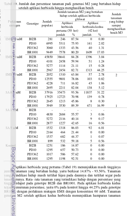 Tabel 19. Jumlah dan persentase tanaman padi generasi M2 yang bertahan hidup