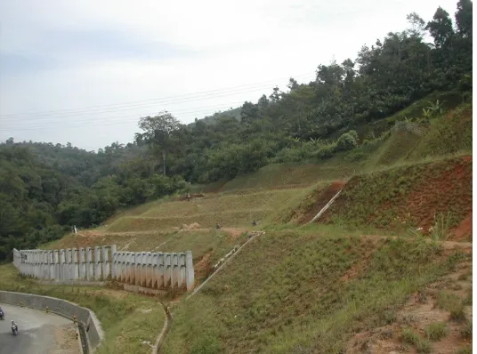 Figure 2.  Slope condition after stabilization. Dashed red lines indicate tension cracks (photograph was taken on May 2006)