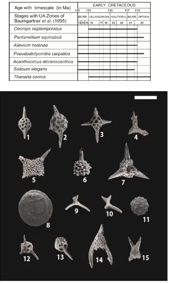 Table 2.  Biostratigraphic range of certain radiolarians compiled from Baumgartner et al