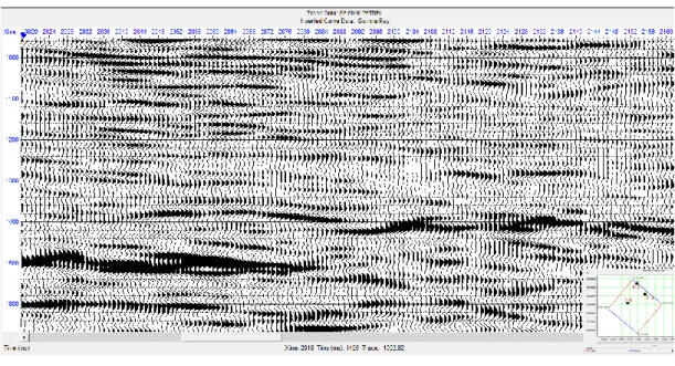 Gambar 18. Data 3D seismik pada inline 2519 