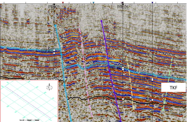 Gambar 17.  Horizon pada layer TKF (biru) dan BKF (hitam) penampang  seismik xline 467