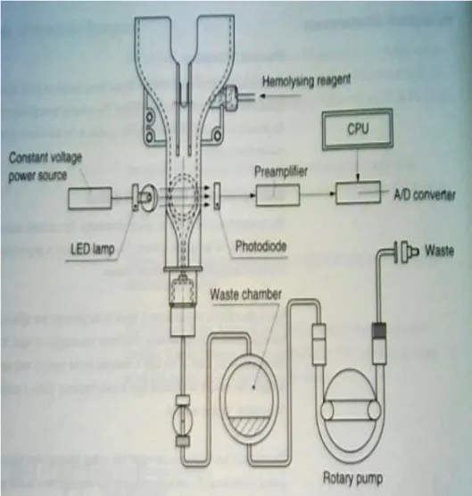 Gambar 2.4 Prinsip Kerja Hematology Analyzer 