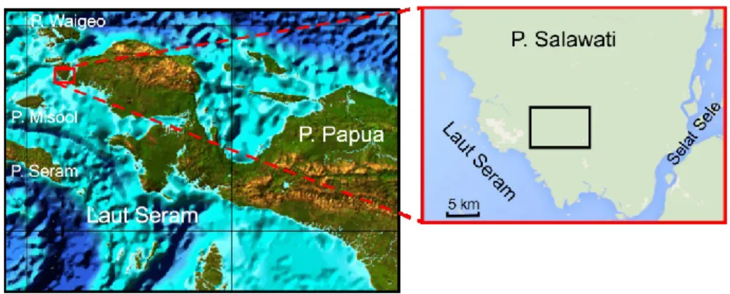 Gambar 1.1. Lokasi penelitian Lapangan “DAM” (kotak hitam), di Cekungan Salawati (Satyana,  2003 dan Google Earth, 2015)