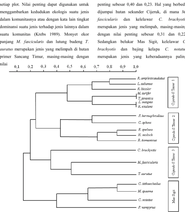 Gambar 3. Dendrogram pengelompokan jenis mamalia berdasarkan indeks similaritas Bray Curtis  antara hutan primer Sancang Timur, hutan sekunder Cijeruk dan belukar Mas Sigit