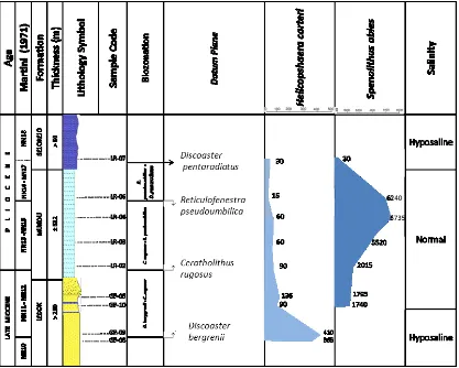 Figure 7. Column of Poppulation Changes Sphenolithus abies and Helicosphaera carteri  in Sungai Kedungkembang Traverse