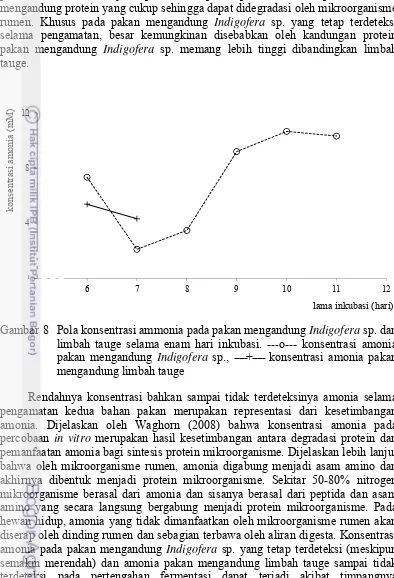 Gambar 8 Pola konsentrasi ammonia pada pakan mengandung Indigofera sp. dan 