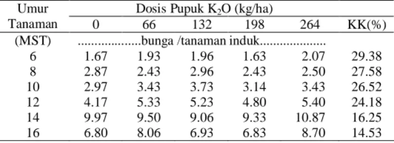 Gambar  1.  Pengaruh Pupuk K terhadap Bobot Kering Total Tanaman Pegagan (Centella aciatica L