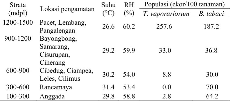 Tabel 2  Populasi kutukebul pada tanaman tomat di daerah Jawa Barat pada  setiap strata ketinggian tempat dan lokasi pengamatan 