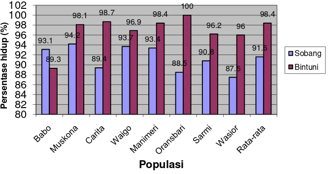 Gambar (Figure) 1. Persentase hidup tanaman merbau di Sobang dan Bintuni umur 18 bulan (Survival percentage of merbau in Sobang and Bintuni aged 18 months) 
