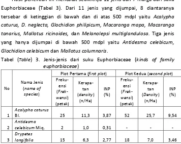Tabel (Table) 3. Jenis-jenis dari suku Euphorbiaceae (kinds of family 