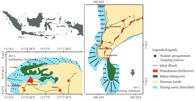 Figure 1. Distribution of wild seaweed observation sites at Ujung Genteng, Sukabumi, West Java and Labuhanbua, Sumbawa, West Nusa Tenggara